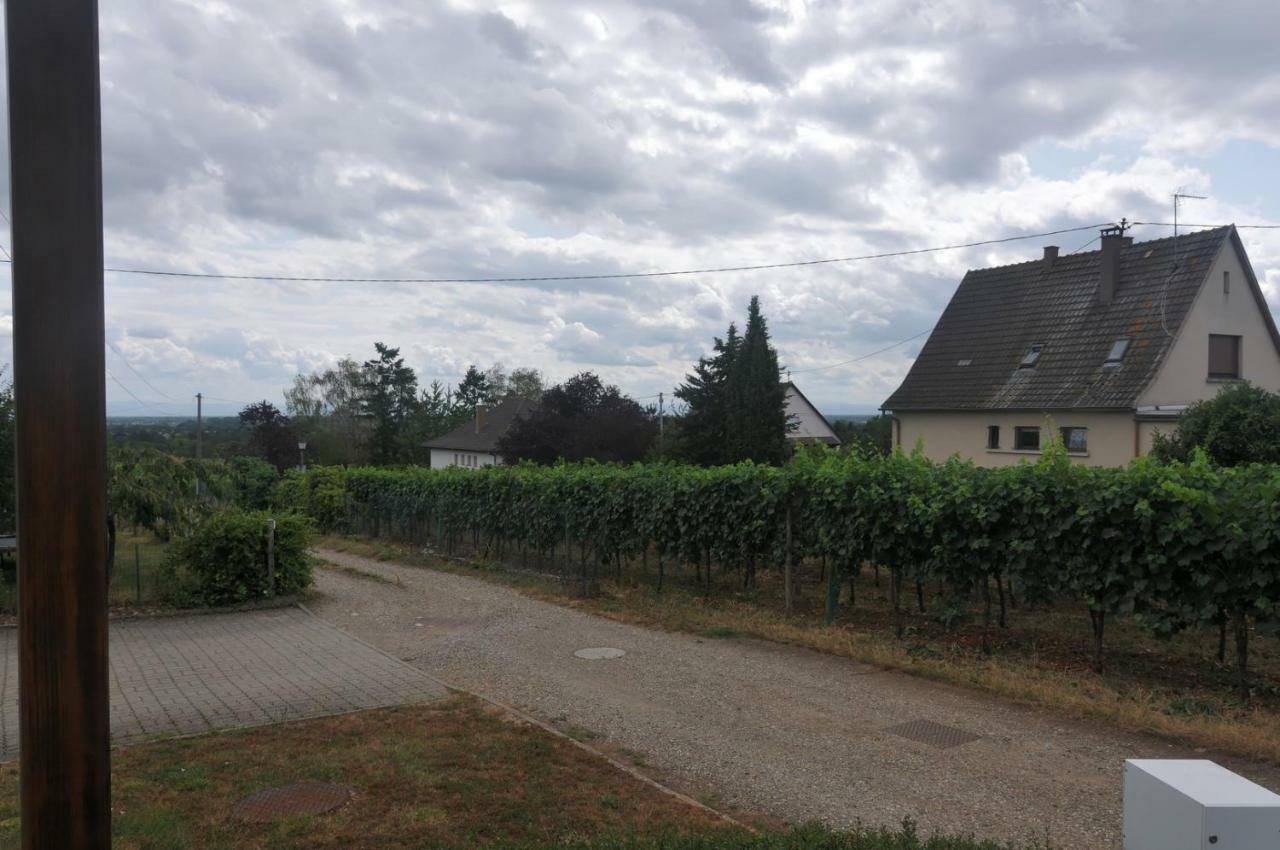 Les Cerisiers Villa Bernardswiller Екстериор снимка